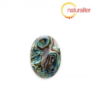 Perleť paua - kabošon 25x18mm Perleť paua - kabošon 25x18mm