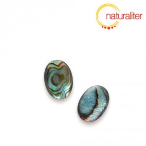 Perleť paua - kabošon 14x10mm Perleť paua - kabošon 14x10mm