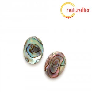 Perleť paua - kabošon 18x13mm Perleť paua - kabošon 18x13mm