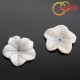 Perleťový květ 18mm přírodní bílý