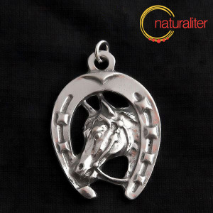 Kůň s podkovou - přívěsek starostříbro 45x31mm Kůň s podkovou - přívěsek starostříbro 45x31mm