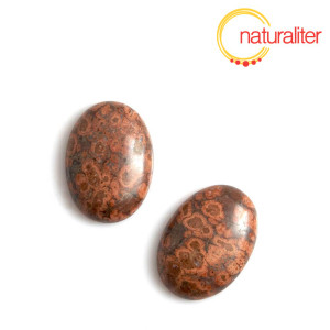Jaspis leopard - kabošon 25x18mm Jaspis leopard - kabošon 25x18mm