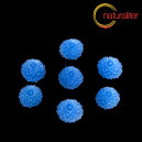 Kytička - kabo&scaron;on z pryskyřice 10mm, modr&aacute;, 10ks