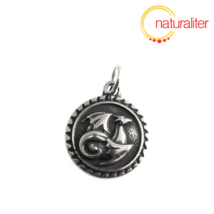 Drak - přívěsek nerezová ocel 21x18mm Drak - přívěsek nerezová ocel 21x18mm