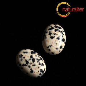 Jaspis dalmatin - kabošon 18x13mm Jaspis dalmatin - kabošon 18x13mm