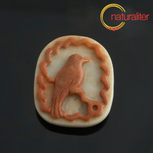 Pt&aacute;ček - př&iacute;věsek z jaspisu