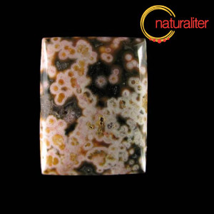 Jaspis oce&aacute;n - obd&eacute;ln&iacute;kov&yacute; kabo&scaron;on 26x20mm