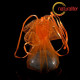 Výprodej - Organzový měšec 25cm oranžový