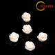 Růžička - kabošon z pryskyřice 7mm, bílá, 10ks