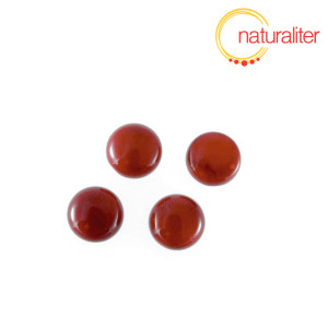 Červený korál - kabošon 10mm Červený korál - kabošon 10mm