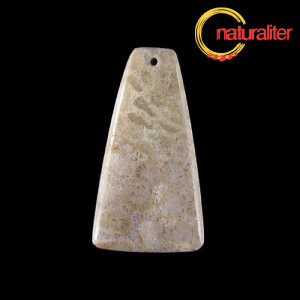 Fosiln&iacute; kor&aacute;l - př&iacute;věsek 43x24 mm