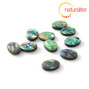 Perleťov&yacute; kor&aacute;lek paua 18,5x13,4mm