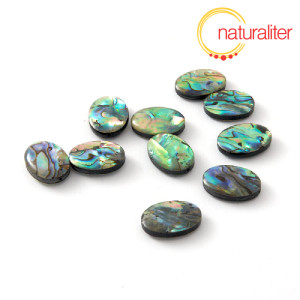 Perleťov&yacute; kor&aacute;lek paua 18,5x13,4mm