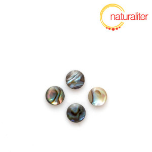 Perleť paua - kabošon 6mm Perleť paua - kabošon 6mm